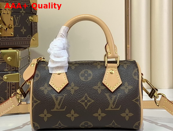 Louis Vuitton Nano Speedy Monogram Canvas M81085 Replica