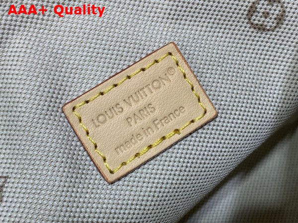 Louis Vuitton Nano Speedy Monogram Embleme Peuplier M28502 Replica
