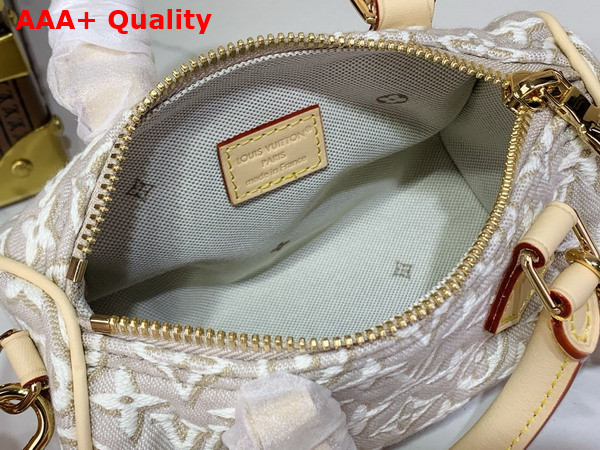 Louis Vuitton Nano Speedy Monogram Embleme Peuplier M28502 Replica