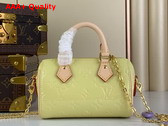 Louis Vuitton Nano Speedy in Yellow Monogram Vernis Leather Replica