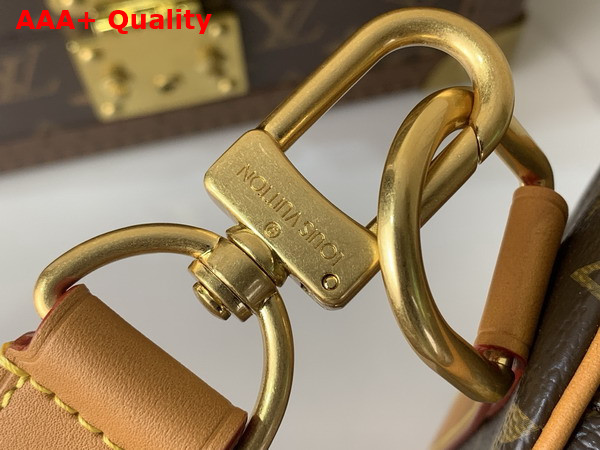 Louis Vuitton Needle Bag in Monogram Coated Canvas M28116 Replica