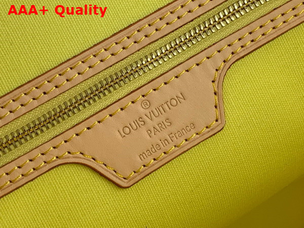 Louis Vuitton Neverfull MM Tote in Peach Damier Giant Coated Canvas N40668 Replica