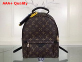 Louis Vuitton Palm Springs Backpack PM Monogram Coated Canvas Replica