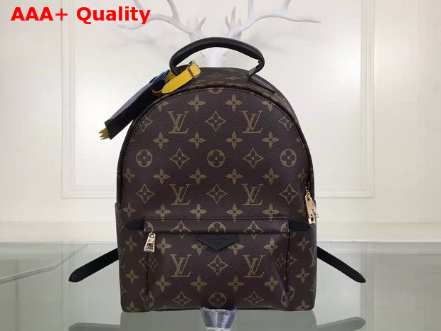 Louis Vuitton Palm Springs Backpack PM Monogram Coated Canvas Replica