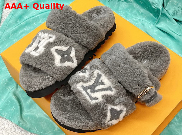 Louis Vuitton Paseo Flat Comfort Mule Grey Shearling 1AACS2 Replica
