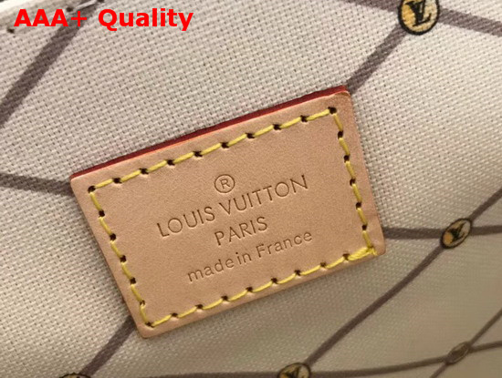 Louis Vuitton Pechette Metis Printed Monogram Coated Canvas M43628 Replica