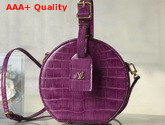 Louis Vuitton Petite Boite Chapeau Raisin Crocodilien Brillant N90240 Replica
