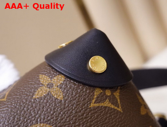 Louis Vuitton Petite Malle Souple Noir Monogram Canvas M45571 Replica