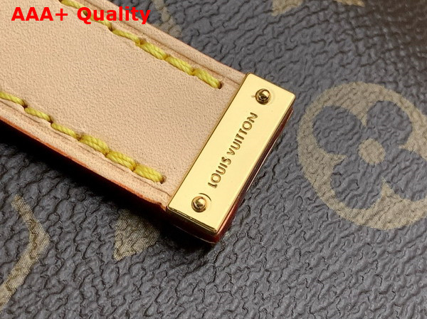Louis Vuitton Piano Handbag in Monogram Coated Canvas M12095 Replica
