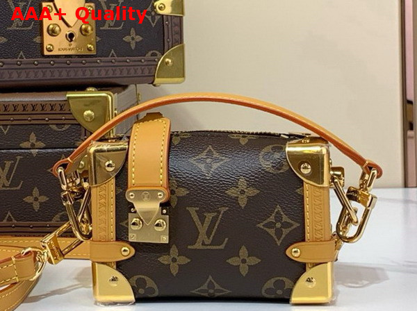 Louis Vuitton Pico Side Trunk in Monogram Coated Canvas M83018 Replica