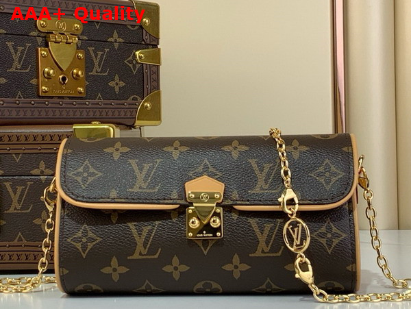 Louis Vuitton Pochette Camille in Monogram Canvas M13566 Replica