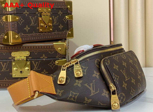 Louis Vuitton Rush Bumbag Monogram Archive M14019 Replica