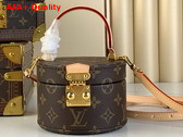Louis Vuitton Scott Bag in Monogram Coated Canvas M46933 Replica