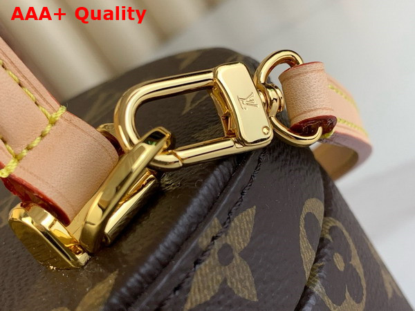 Louis Vuitton Scott Bag in Monogram Coated Canvas M46933 Replica
