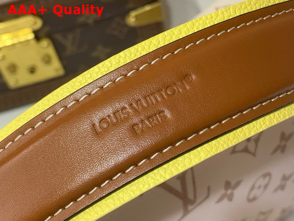 Louis Vuitton Side Trunk MM East West Monogram Dune Coated Canvas M29913 Replica