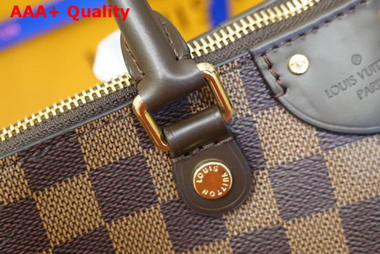 Louis Vuitton Siena MM Damier Ebene Canvas N41546 Replica