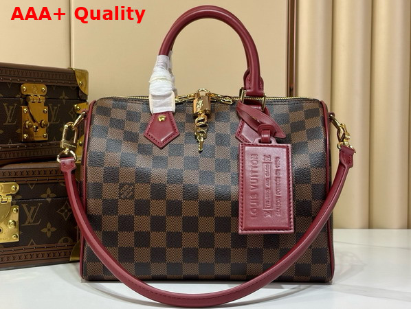 Louis Vuitton Speedy 25 Soft Damier Ebene Canvas M3A350 Replica