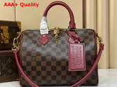 Louis Vuitton Speedy 25 Soft Damier Ebene Canvas M3A350 Replica