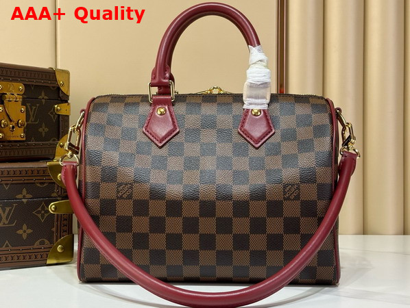 Louis Vuitton Speedy 25 Soft Damier Ebene Canvas M3A350 Replica