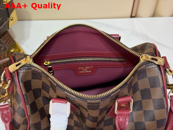 Louis Vuitton Speedy 25 Soft Damier Ebene Canvas M3A350 Replica