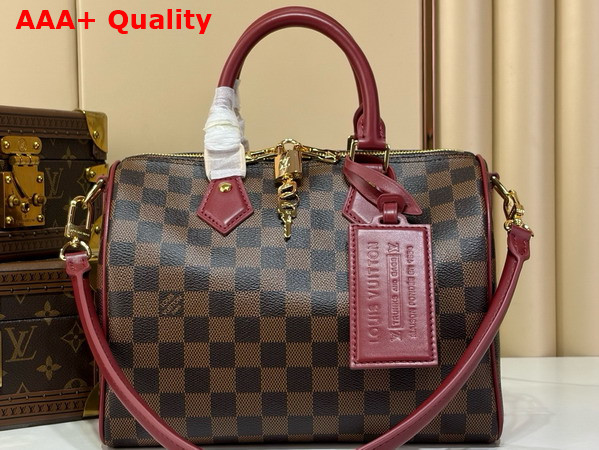 Louis Vuitton Speedy 25 Soft Damier Ebene Canvas M3A350 Replica