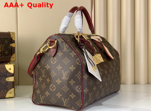 Louis Vuitton Speedy 30 Soft Celebration Monogram Coated Canvas M28379 Replica