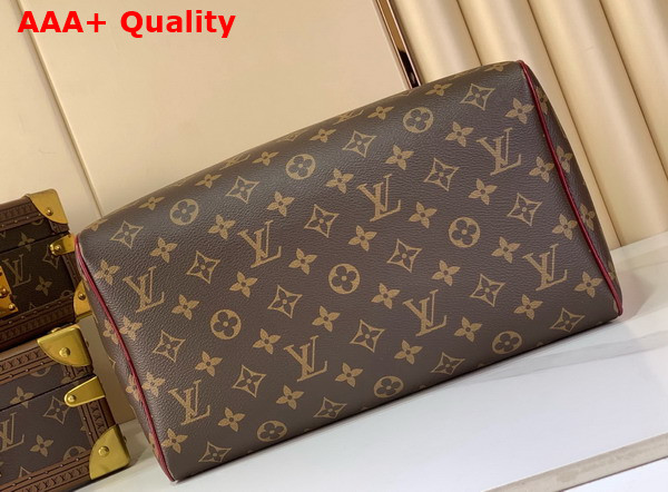 Louis Vuitton Speedy 30 Soft Celebration Monogram Coated Canvas M28379 Replica