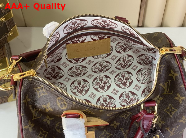 Louis Vuitton Speedy 30 Soft Celebration Monogram Coated Canvas M28379 Replica