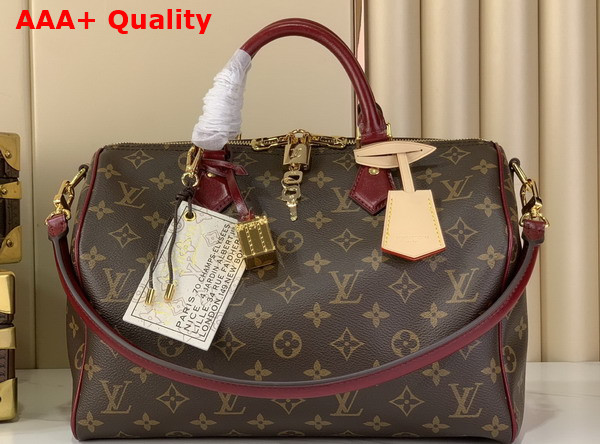 Louis Vuitton Speedy 30 Soft Celebration Monogram Coated Canvas M28379 Replica