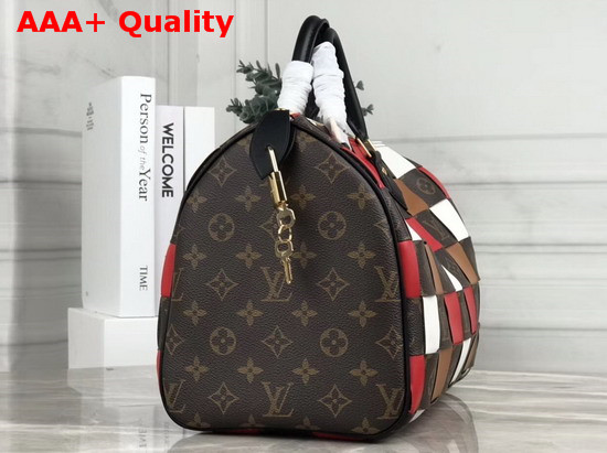 Louis Vuitton Speedy 30 in Monogram Canvas Woven with Colored Leather Replica