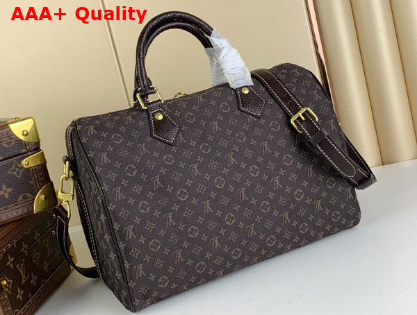 Louis Vuitton Speedy Bandoouliere 30 in Brown Monogram Jacquard Denim Replica