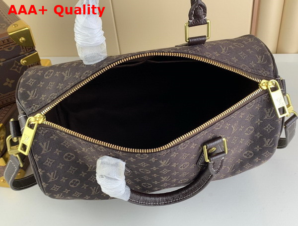 Louis Vuitton Speedy Bandoouliere 30 in Brown Monogram Jacquard Denim Replica