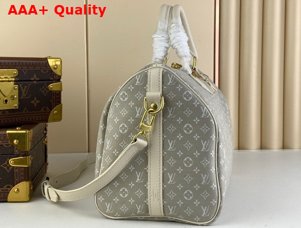 Louis Vuitton Speedy Bandoouliere 30 in Grey Monogram Jacquard Denim Replica