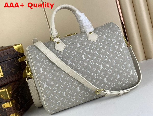 Louis Vuitton Speedy Bandoouliere 30 in Grey Monogram Jacquard Denim Replica