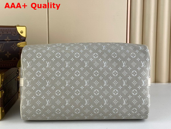 Louis Vuitton Speedy Bandoouliere 30 in Grey Monogram Jacquard Denim Replica