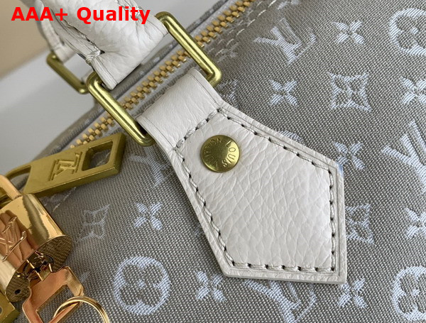 Louis Vuitton Speedy Bandoouliere 30 in Grey Monogram Jacquard Denim Replica