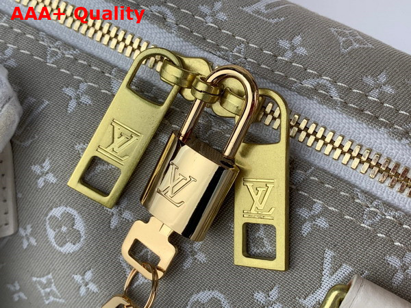 Louis Vuitton Speedy Bandoouliere 30 in Grey Monogram Jacquard Denim Replica