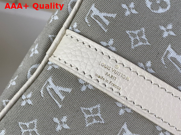 Louis Vuitton Speedy Bandoouliere 30 in Grey Monogram Jacquard Denim Replica