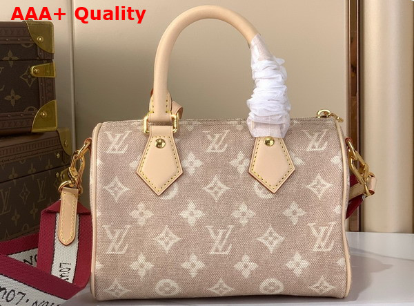 Louis Vuitton Speedy Bandouliere 20 Meowgram Coated Canvas M15151 Replica