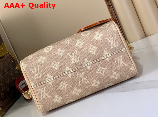 Louis Vuitton Speedy Bandouliere 20 Meowgram Coated Canvas M15151 Replica