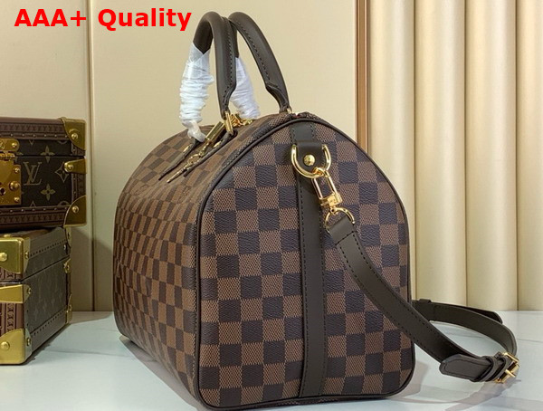 Louis Vuitton Speedy Bandouliere 30 Damier Ebene Canvas N40590 Replica