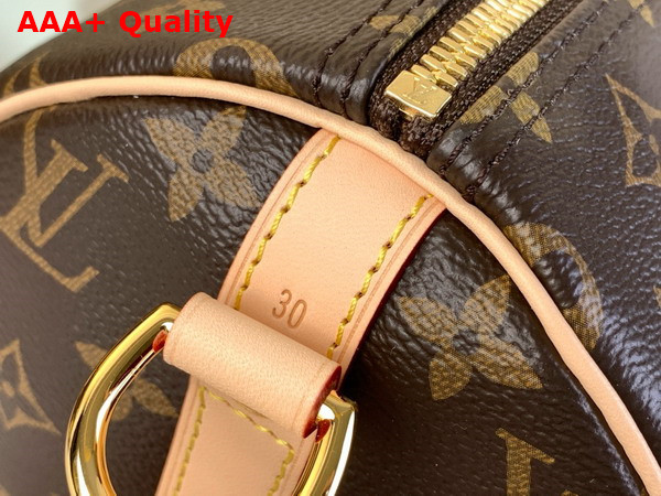 Louis Vuitton Speedy Bandouliere 30 Monogram Canvas M46980 Replica