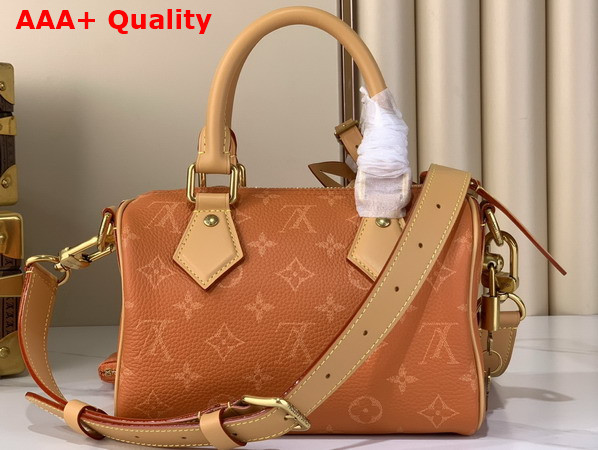 Louis Vuitton Speedy P9 Bandouliere 20 Ochre Calfskin Leather Monogram with a Printed Twill Effect M28307 Replica