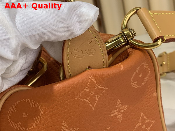 Louis Vuitton Speedy P9 Bandouliere 20 Ochre Calfskin Leather Monogram with a Printed Twill Effect M28307 Replica