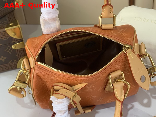 Louis Vuitton Speedy P9 Bandouliere 20 Ochre Calfskin Leather Monogram with a Printed Twill Effect M28307 Replica