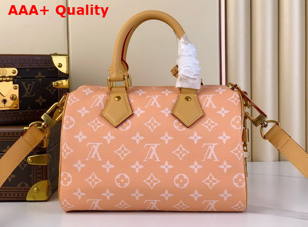 Louis Vuitton Speedy P9 Bandouliere 25 Bag in Nubuck Calf Leather with Monogram Motif Replica