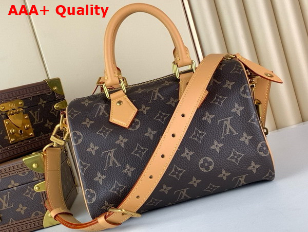 Louis Vuitton Speedy P9 Bandouliere 25 Brown Monogram Leather Replica
