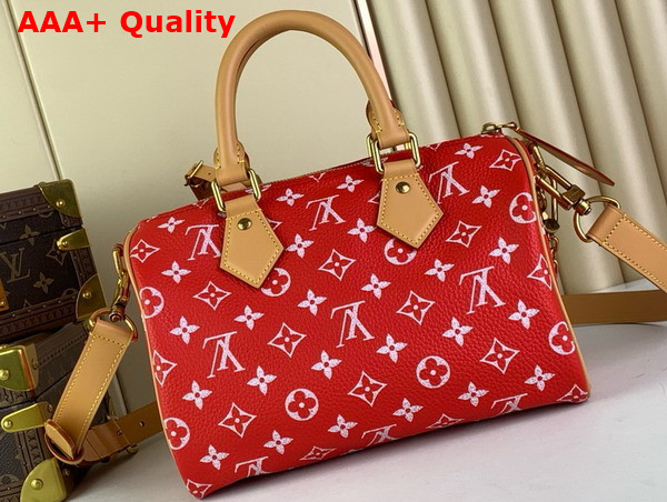 Louis Vuitton Speedy P9 Bandouliere 25 Red Monogram Leather M24425 Replica