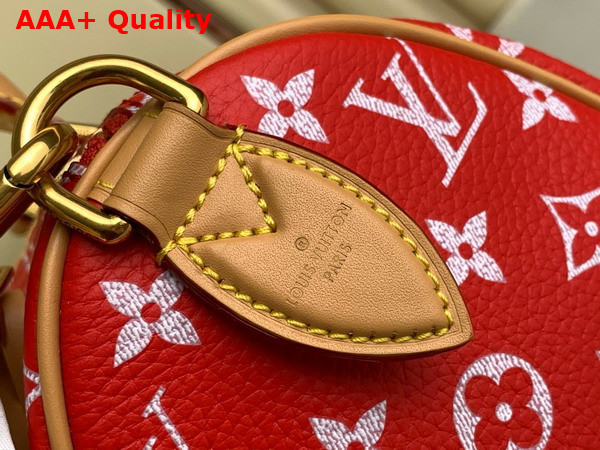 Louis Vuitton Speedy P9 Bandouliere 25 Red Monogram Leather M24425 Replica