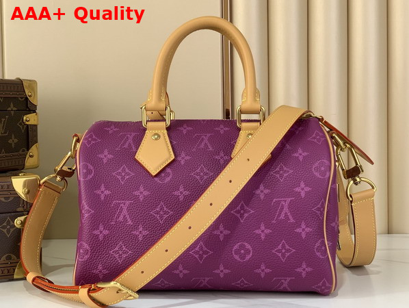 Louis Vuitton Speedy P9 Bandouliere 25 in Purple Calfskin Leather with Monogram Print M28383 Replica